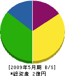三嶋建設 貸借対照表 2009年5月期