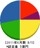 日本カリュウ 貸借対照表 2011年6月期