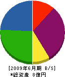 田中鉄工所 貸借対照表 2009年6月期