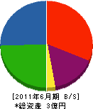 袴田工務店 貸借対照表 2011年6月期