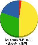 瀧田建設 貸借対照表 2012年6月期