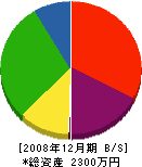 上村住宅設備 貸借対照表 2008年12月期