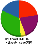 柴田建設 貸借対照表 2012年8月期