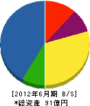 日本エレベーター製造 貸借対照表 2012年6月期