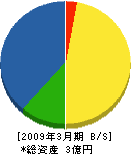 千葉興業 貸借対照表 2009年3月期