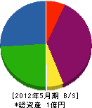 奥川商店 貸借対照表 2012年5月期