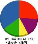 アルファ建設 貸借対照表 2008年10月期