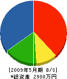 江澤設備工業所 貸借対照表 2009年5月期