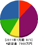 佐藤工業 貸借対照表 2011年1月期