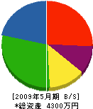 松信電気商会 貸借対照表 2009年5月期
