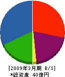 森田鉄工所 貸借対照表 2009年3月期