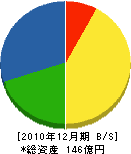山口シネマ 貸借対照表 2010年12月期
