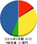 三栄電気工業 貸借対照表 2010年3月期
