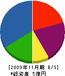 井原工業 貸借対照表 2009年11月期