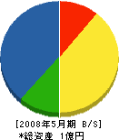 松川組 貸借対照表 2008年5月期