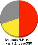 江澤防災設備 損益計算書 2008年6月期