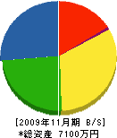 井上水道工業所 貸借対照表 2009年11月期