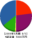 岡田設備 貸借対照表 2009年5月期