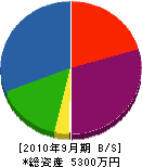 青光電気 貸借対照表 2010年9月期