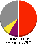 中村桂園 損益計算書 2009年12月期