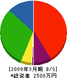穴田組 貸借対照表 2009年3月期
