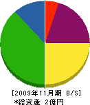 菊田板金工業 貸借対照表 2009年11月期