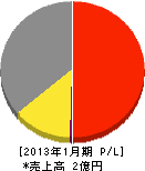 データネットジャパン 損益計算書 2013年1月期