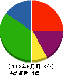 村川建設 貸借対照表 2008年6月期