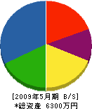 本田水設工業 貸借対照表 2009年5月期