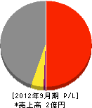 上野土木建設 損益計算書 2012年9月期
