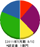 新潟レヂン 貸借対照表 2011年5月期