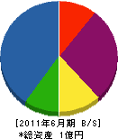 坂本電業 貸借対照表 2011年6月期