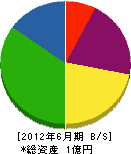 仁田脇組 貸借対照表 2012年6月期