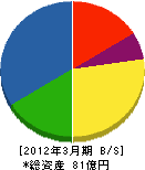 大川原製作所 貸借対照表 2012年3月期