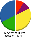 野島電友社 貸借対照表 2009年6月期