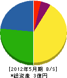 大塚建材店 貸借対照表 2012年5月期