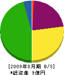 鎌倉土木 貸借対照表 2009年8月期