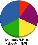 田中組 貸借対照表 2008年5月期