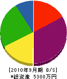 和沢工務店 貸借対照表 2010年9月期