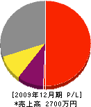 細川ポンプ店 損益計算書 2009年12月期