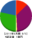 田尾設備 貸借対照表 2011年6月期
