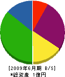 東日本興産 貸借対照表 2009年6月期
