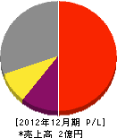 赤川索道 損益計算書 2012年12月期