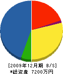 本庄組 貸借対照表 2009年12月期