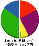 大村純司商店 貸借対照表 2011年9月期