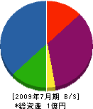 大島電機 貸借対照表 2009年7月期
