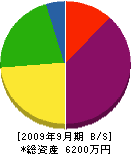 丸宏商事 貸借対照表 2009年9月期