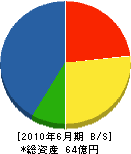 中野プランツ 貸借対照表 2010年6月期