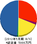 斎藤土建工業 貸借対照表 2012年5月期