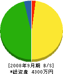 丸五技研 貸借対照表 2008年9月期